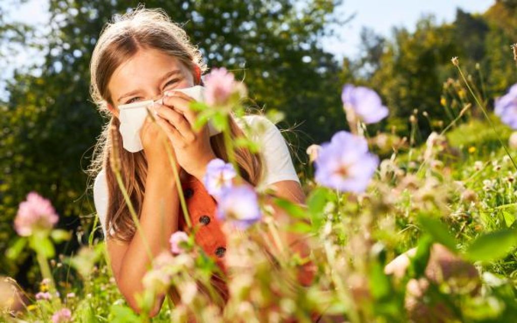 Allergies de printemps : comment les traiter ? - Cocoon